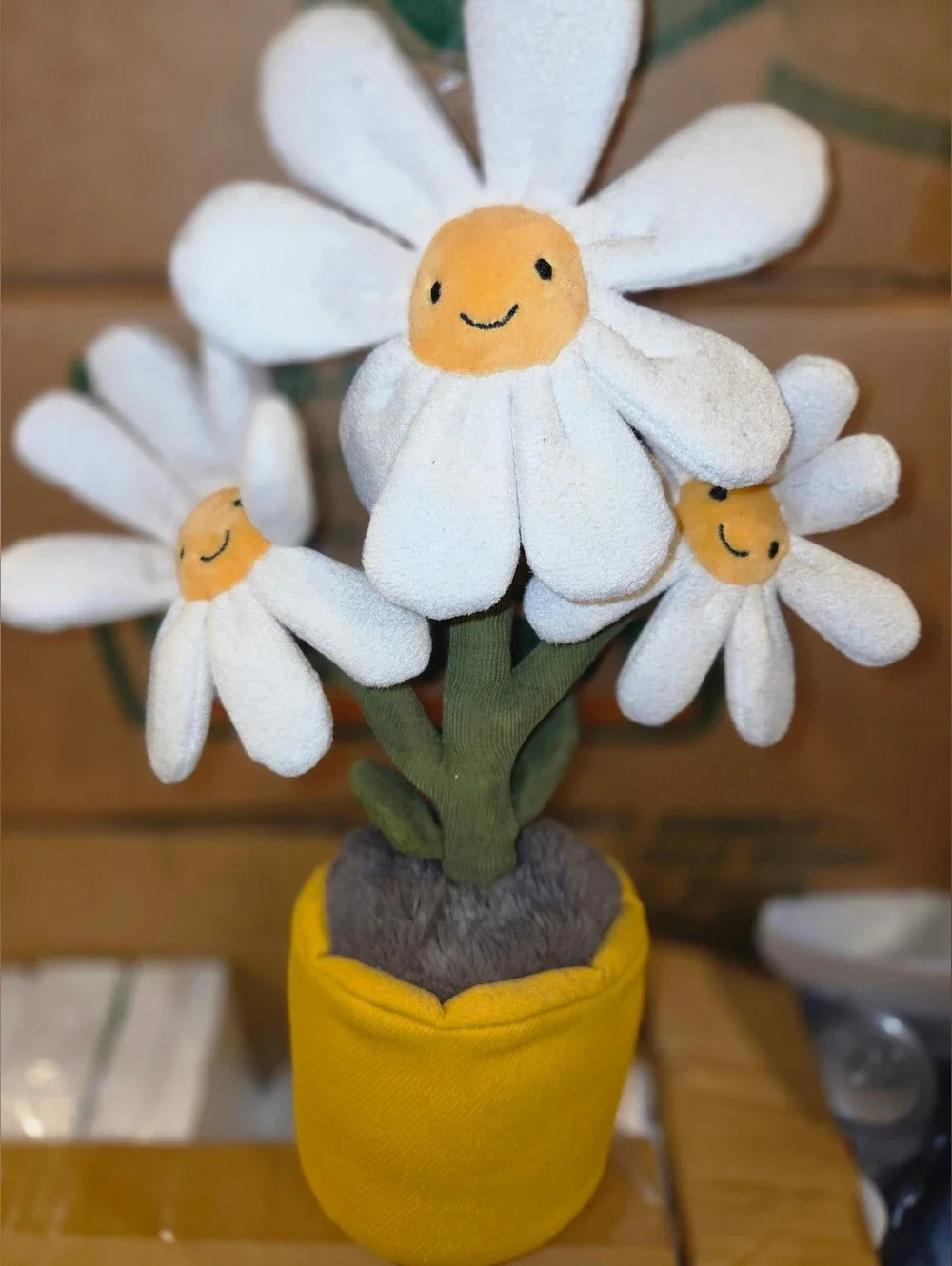 Jelly cat Daisy Trio in Yellow Pot - Jelly cat - Picture 1 of 7
